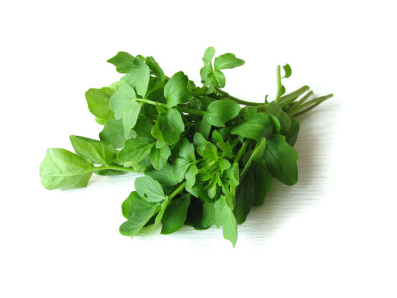 Crescione d'acqua<i>(Nasturtium officinalis)</i>