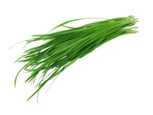 Erba aglina <i>(Allium tuberosum)</i>