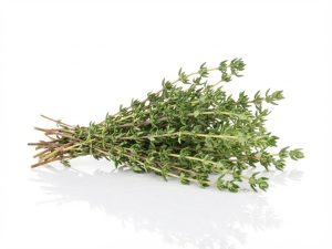 Timo arancio <i>(Thymus “Fragrantissimus Orange”)</i>