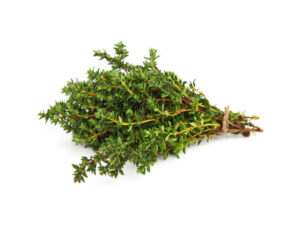 Timo Nytidus <i>(Thymus vulgaris T.)</i>