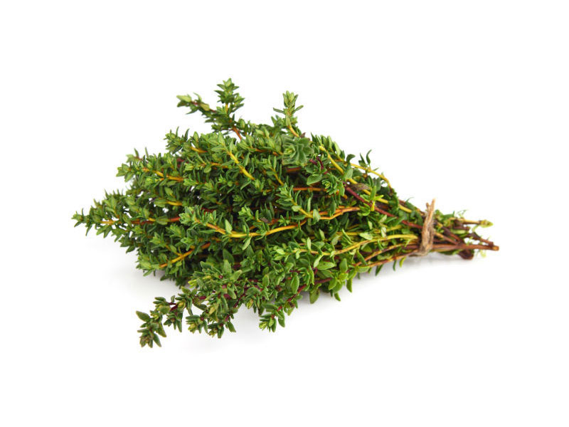 Timo Nytidus <i>(Thymus vulgaris T.)</i>