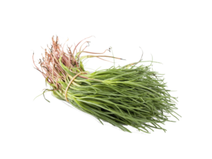 Agretto<i>(Strigolo)</i>