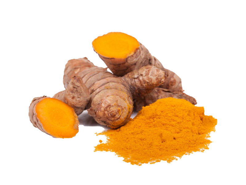 Curcuma