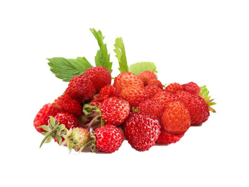 Semi Di Fragola 'Magia Delle Ciotole' – Fragaria Vesca Sempre Rifiorente, Per Vasi