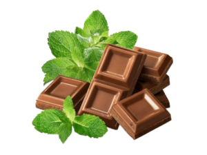 Menta cioccolato<i>(Mentha "chocolate")</i>