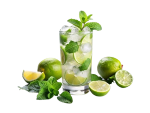 Menta Mojito<i>(Mentha hierba buena)</i>